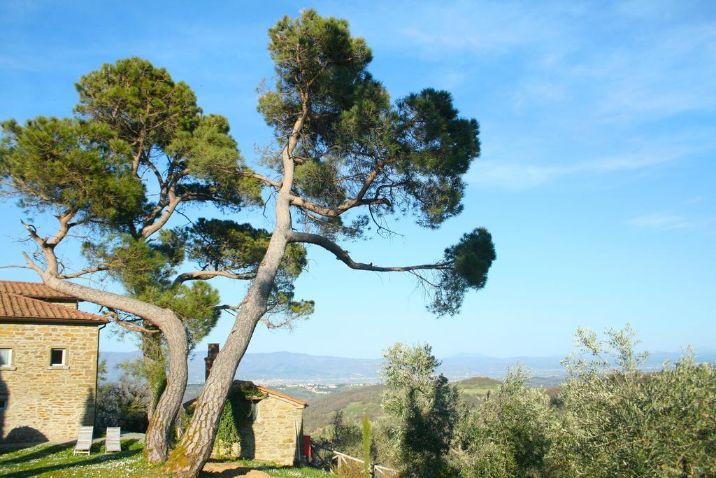 Relais Il Pozzeto Bed and Breakfast Anghiari Εξωτερικό φωτογραφία