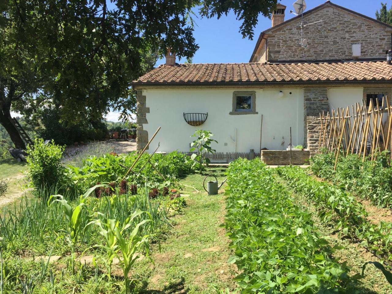Relais Il Pozzeto Bed and Breakfast Anghiari Εξωτερικό φωτογραφία